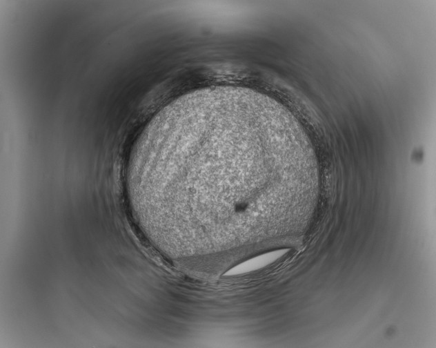 X0000097650757200803211855