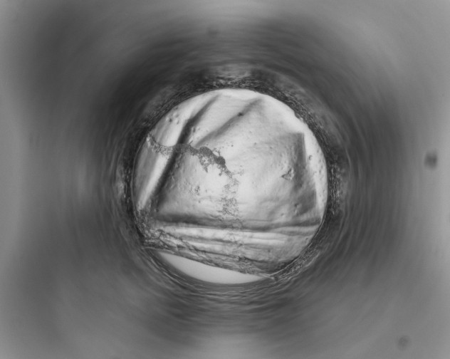 X0000097650758200803211855