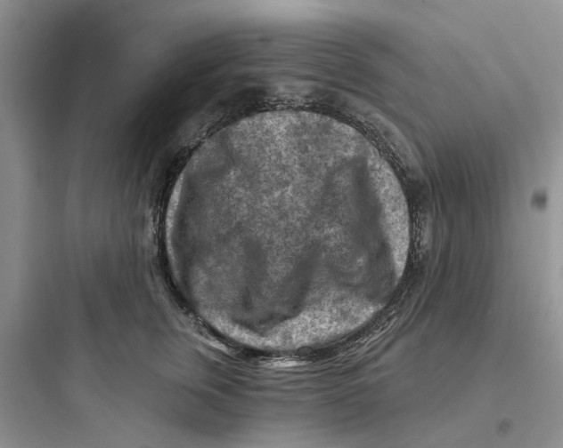 X0000097650759200803211855