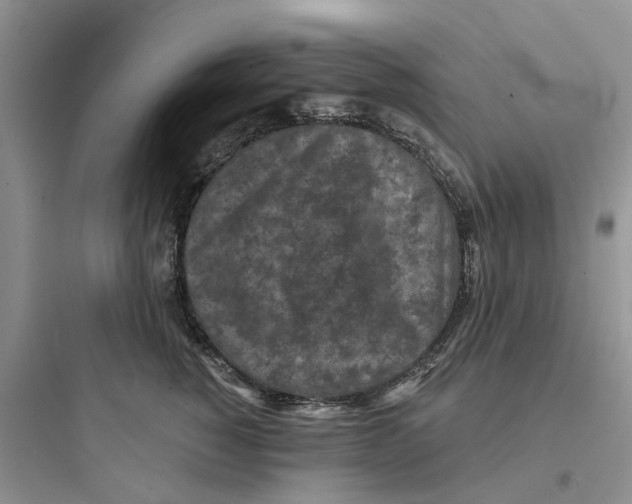 X0000097650760200803211855