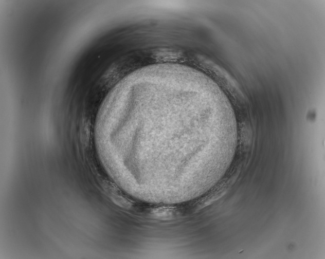 X0000097650761200803211855