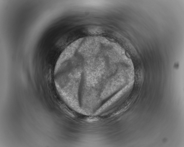 X0000097650762200803211855