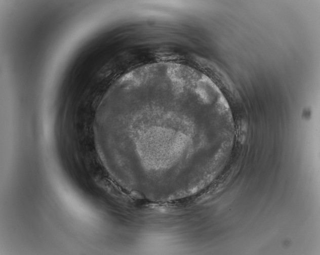 X0000097650763200803211856