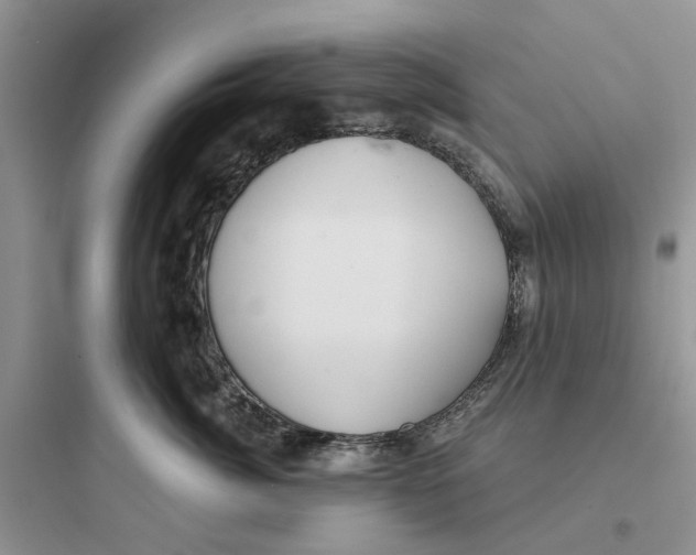 X0000097650764200803211856