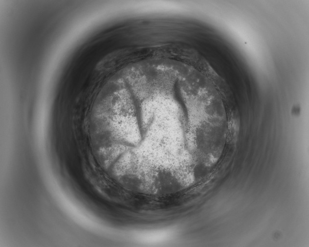 X0000097650765200803211856