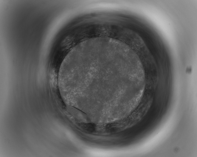 X0000097650766200803211856