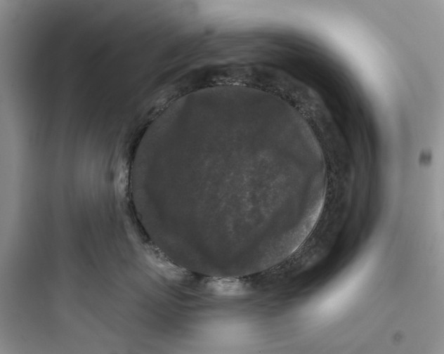 X0000097650767200803211856