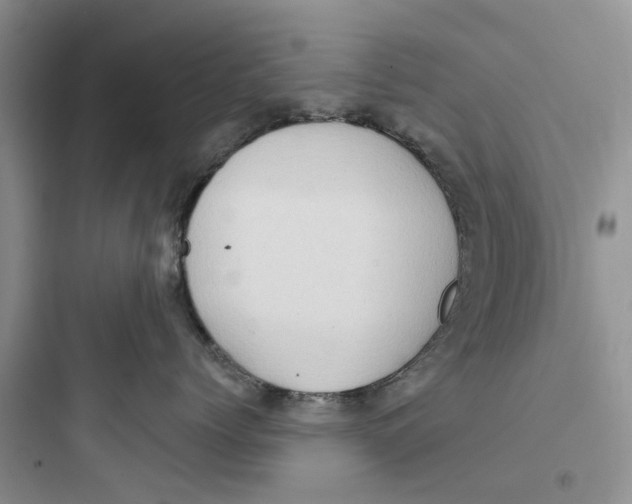 X0000097650768200803211856