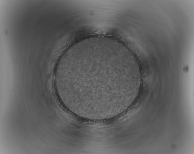 X0000097650769200803211855