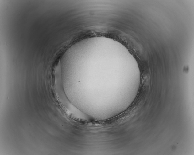 X0000097650772200803211855