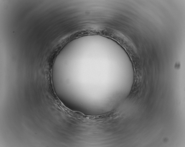 X0000097650773200803211855