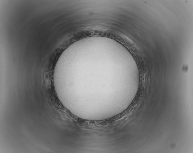 X0000097650774200803211855