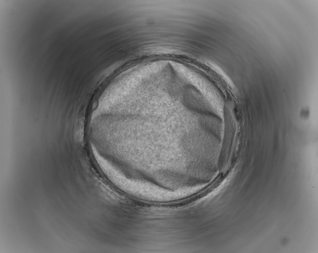 X0000097650777200803211855