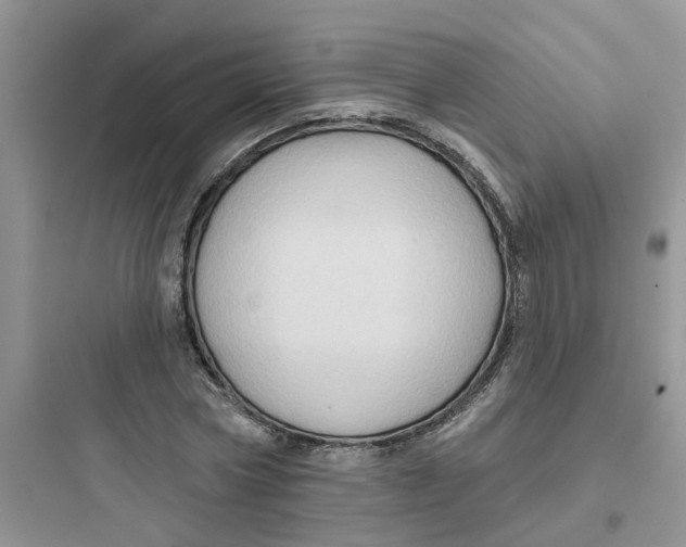 X0000097650778200803211855