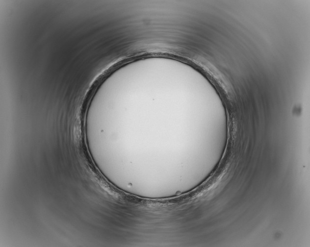 X0000097650782200803211855