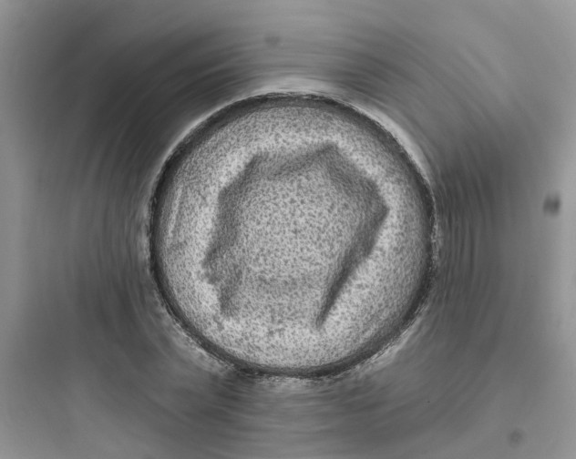 X0000097650783200803211855