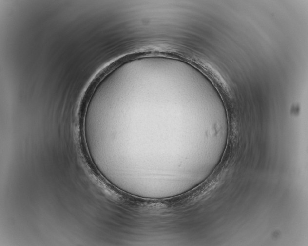 X0000097650784200803211855