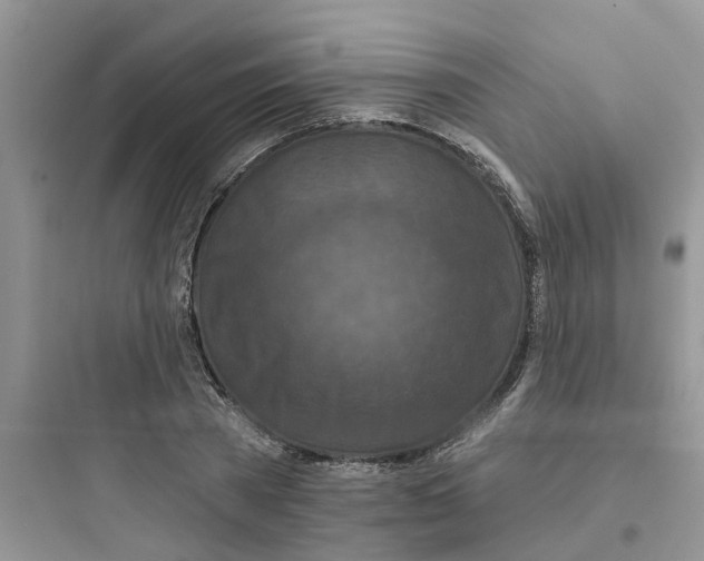 X0000097650785200803211855