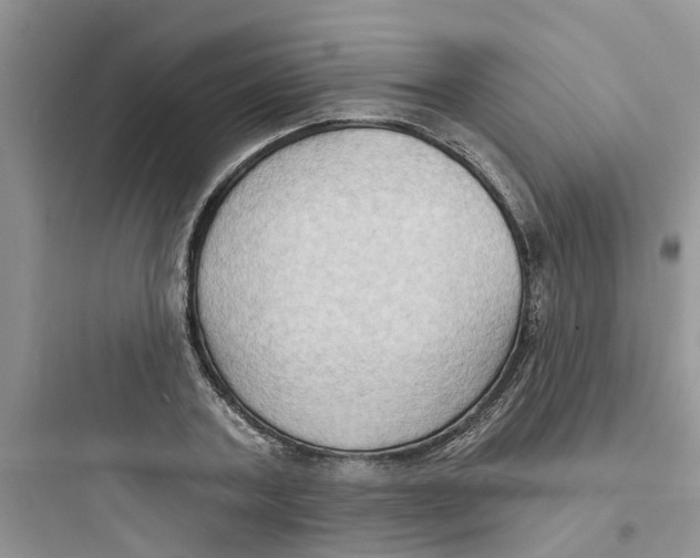 X0000097650787200803211855