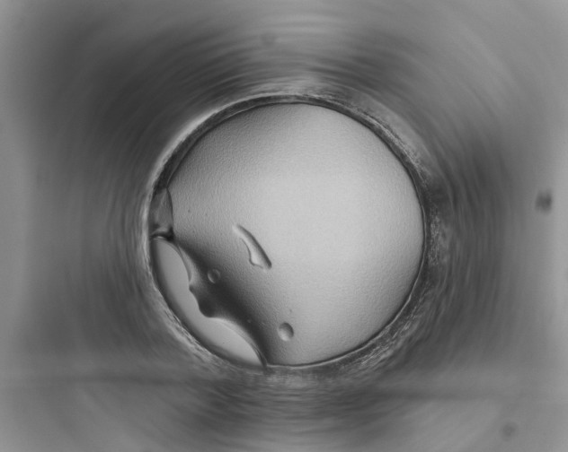 X0000097650788200803211855