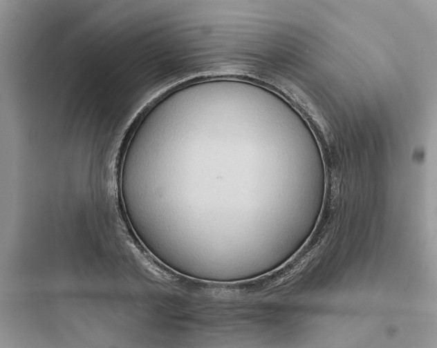 X0000097650789200803211855