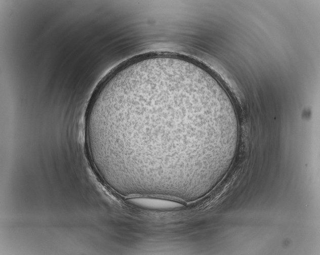 X0000097650791200803211855