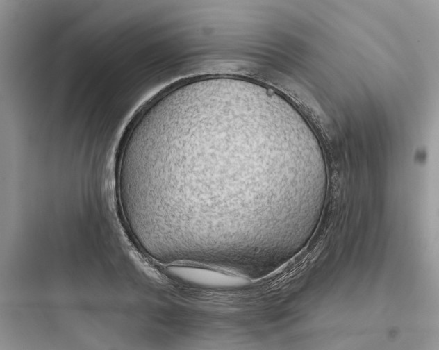 X0000097650792200803211855