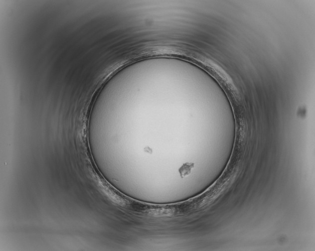 X0000097650793200803211855