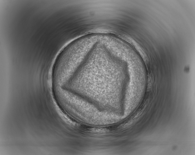 X0000097650795200803211855