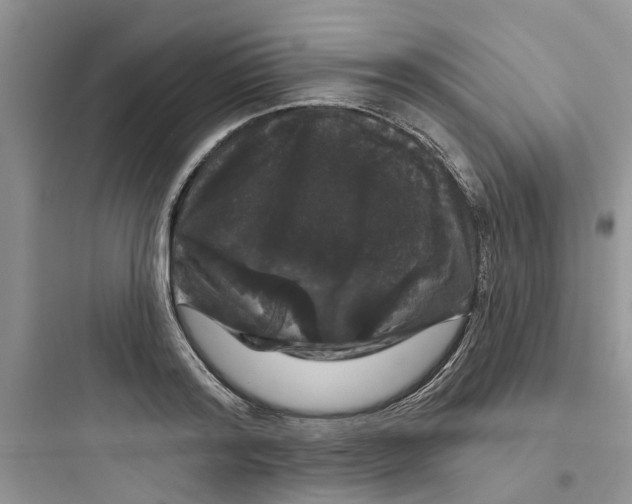 X0000097650796200803211855