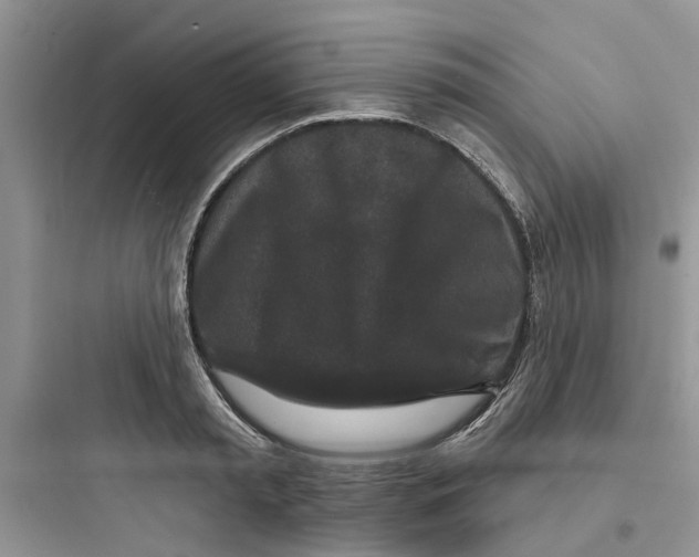 X0000097650797200803211855