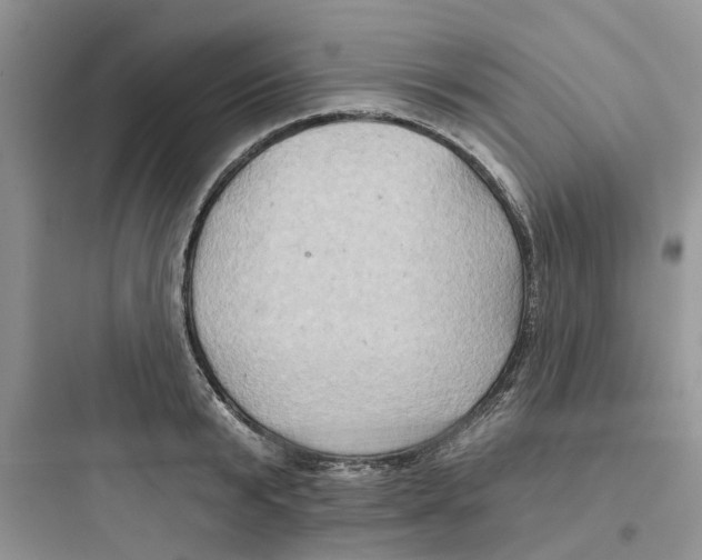 X0000097650799200803211855