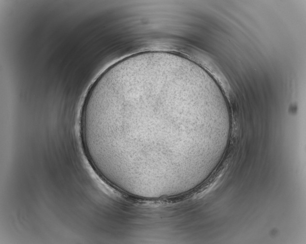 X0000097650803200803211854