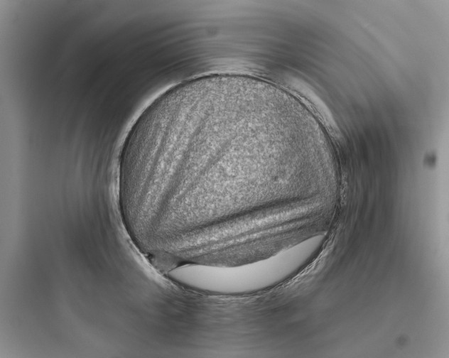 X0000097650804200803211854