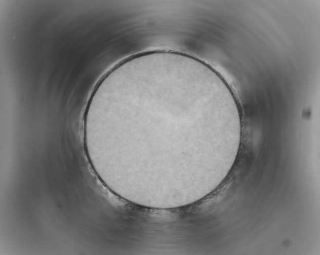 X0000097650807200803211854