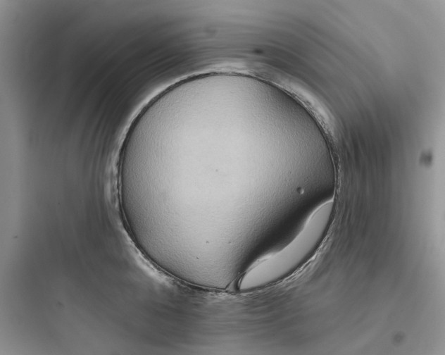 X0000097650808200803211854