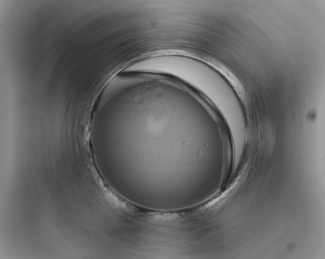 X0000097650809200803211854