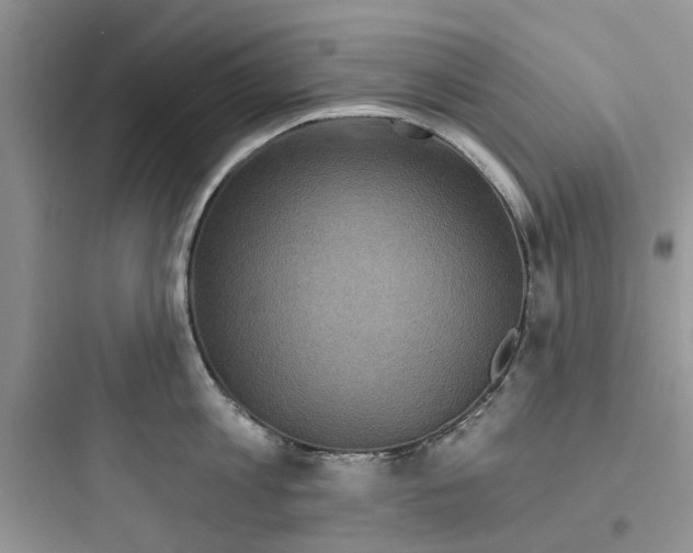 X0000097650813200803211854