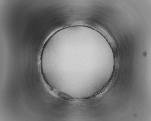 X0000097650814200803211854