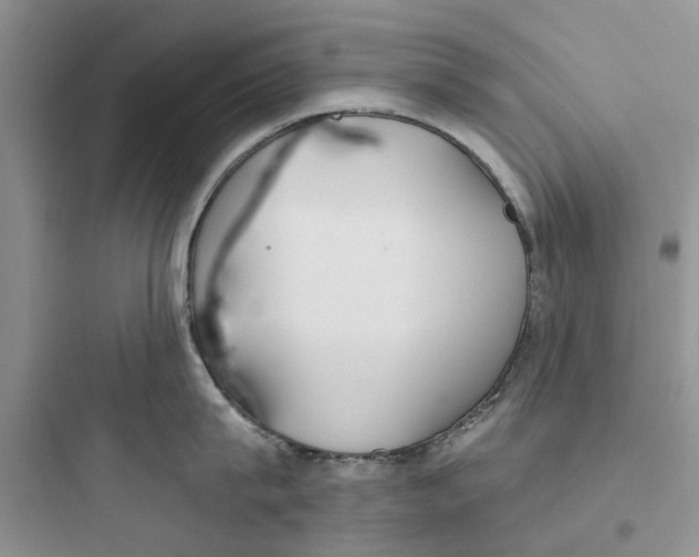 X0000097650815200803211854