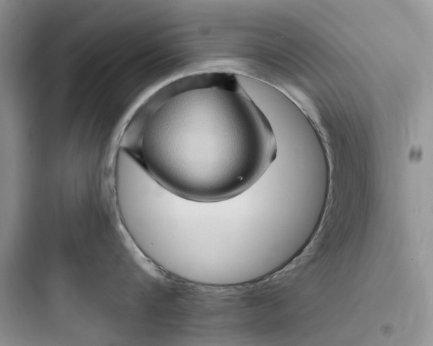 X0000097650816200803211854