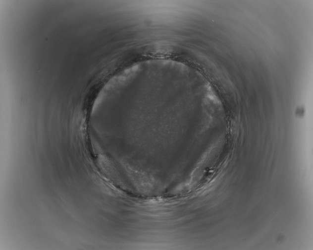 X0000097650818200803211854