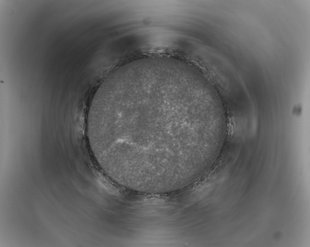 X0000097650820200803211854