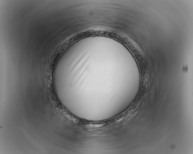 X0000097650821200803211854