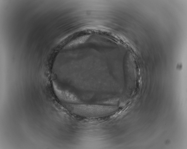 X0000097650822200803211854