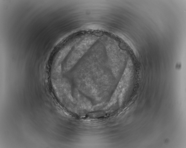 X0000097650823200803211854