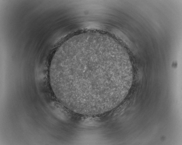 X0000097650824200803211854