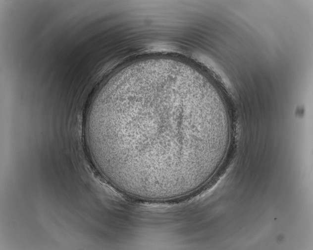 X0000097650825200803211854