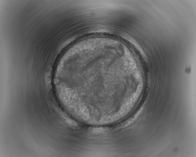 X0000097650826200803211854