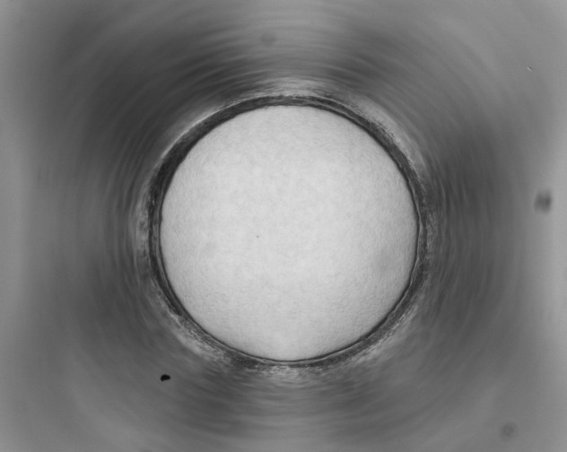 X0000097650827200803211854